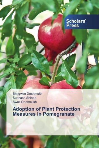Adoption of Plant Protection Measures in Pomegranate