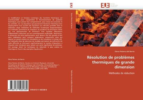 Résolution de problèmes thermiques de grande dimension