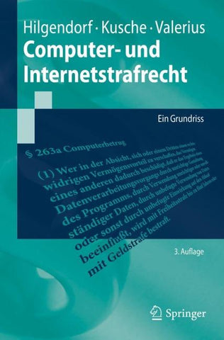 Computer- und Internetstrafrecht