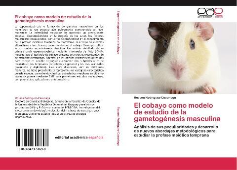 El cobayo como modelo de estudio de la gametogénesis masculina