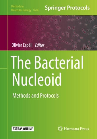 The Bacterial Nucleoid