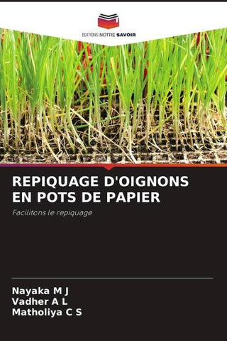 REPIQUAGE D'OIGNONS EN POTS DE PAPIER
