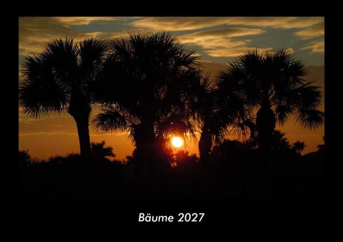 Bäume 2027 Fotokalender DIN A3