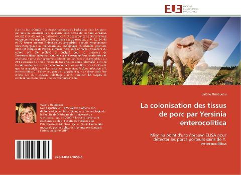 La colonisation des tissus de porc par Yersinia enterocolitica