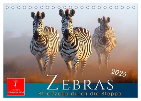 Zebras - Streifzüge durch die Steppe (Tischkalender 2026 DIN A5 quer), CALVENDO Monatskalender