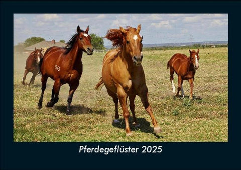 Pferdegeflüster 2025 Fotokalender DIN A5