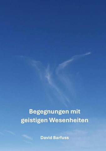 Begegnungen mit geistigen Wesenheiten