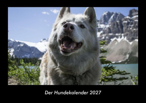 Der Hundekalender 2027 Fotokalender DIN A3