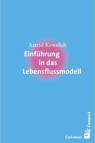 Einführung in das Lebensflussmodell