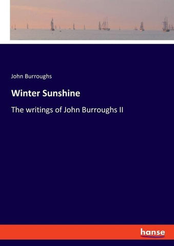 Winter Sunshine
