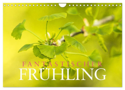 Fantastischer Frühling (Wandkalender 2026 DIN A4 quer), CALVENDO Monatskalender