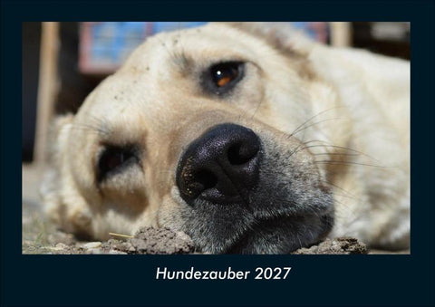 Hundezauber 2027 Fotokalender DIN A4