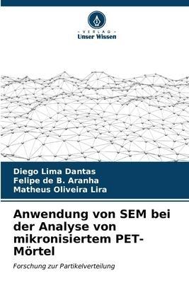 Anwendung von SEM bei der Analyse von mikronisiertem PET-Mörtel
