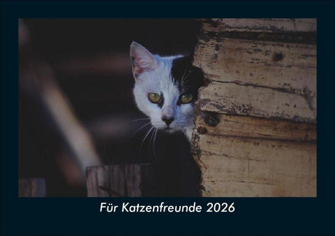 Für Katzenfreunde 2026 Fotokalender DIN A5