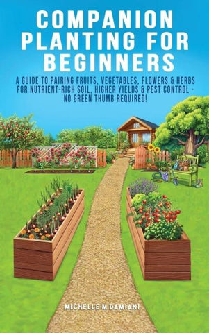 Companion Planting For Beginners