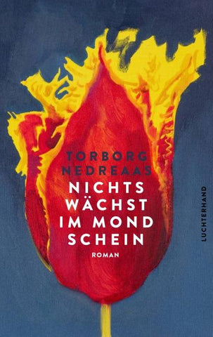 Nichts wächst im Mondschein