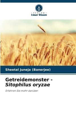 Getreidemonster - Sitophilus oryzae