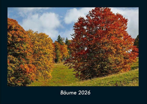 Bäume 2026 Fotokalender DIN A4