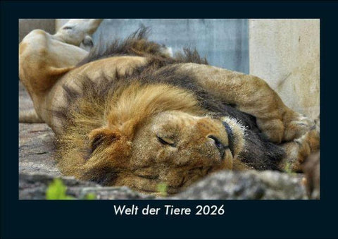 Welt der Tiere 2026 Fotokalender DIN A5