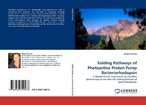 Folding Pathways of Photoactive Proton Pump Bacteriorhodopsin