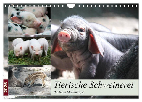 Tierische Schweinerei (Wandkalender 2026 DIN A4 quer), CALVENDO Monatskalender