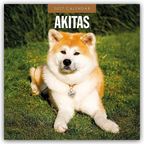 Akitas – Akita 2027 – 16-Monatskalender