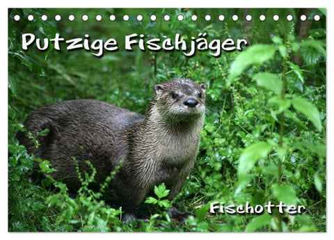 Putzige Fischjäger (Tischkalender 2026 DIN A5 quer), CALVENDO Monatskalender