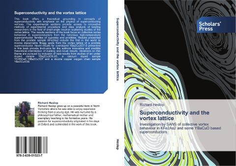 Superconductivity and the vortex lattice