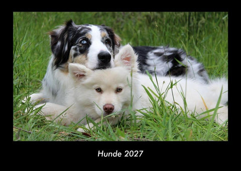 Hunde 2027 Fotokalender DIN A3