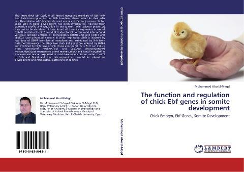 The function and regulation of chick Ebf genes in somite development