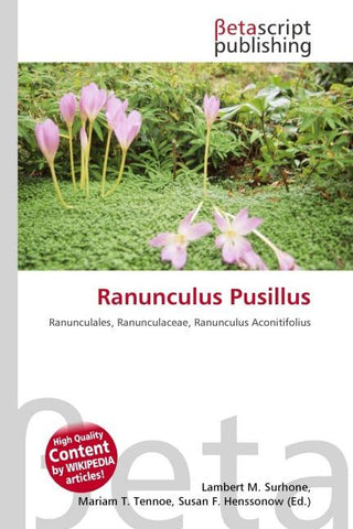 Ranunculus Pusillus
