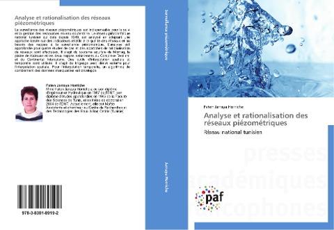 Analyse et rationalisation des réseaux piézométriques