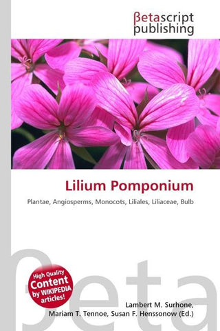 Lilium Pomponium