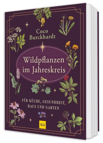 Wildpflanzen im Jahreskreis
