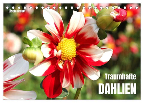 Traumhafte Dahlien (Tischkalender 2026 DIN A5 quer), CALVENDO Monatskalender