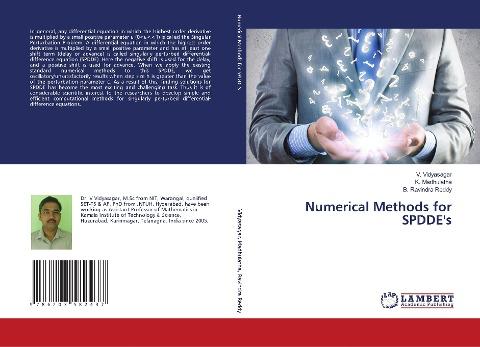 Numerical Methods for SPDDE's
