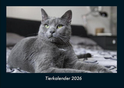 Tierkalender 2026 Fotokalender DIN A4