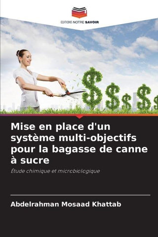 Mise en place d'un système multi-objectifs pour la bagasse de canne à sucre