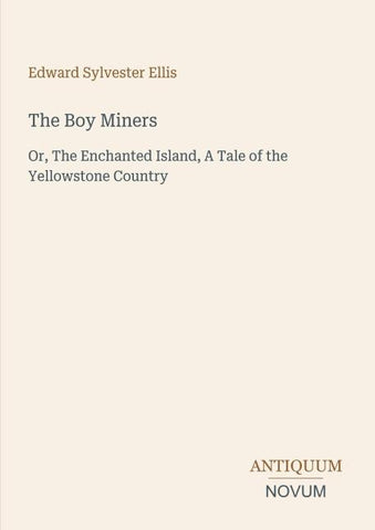 The Boy Miners
