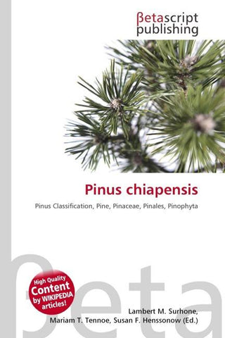 Pinus chiapensis