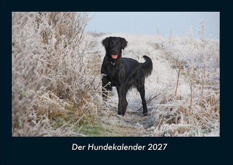 Der Hundekalender 2027 Fotokalender DIN A4
