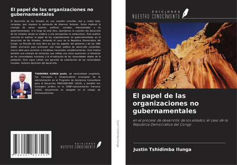 El papel de las organizaciones no gubernamentales