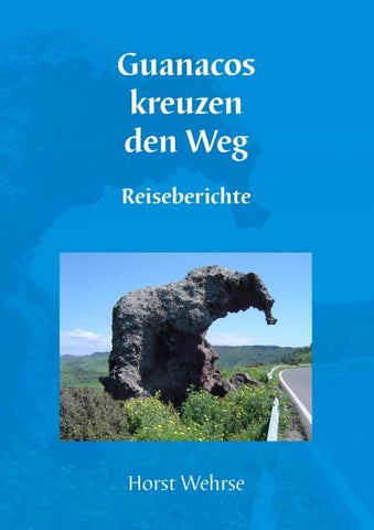 Guanacos kreuzen den Weg