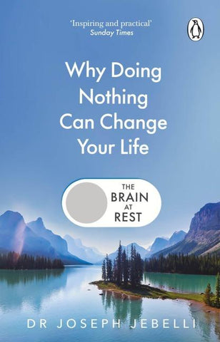 The Brain at Rest