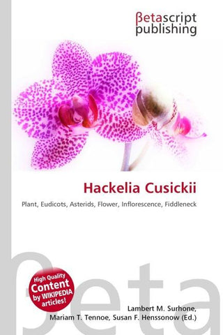 Hackelia Cusickii