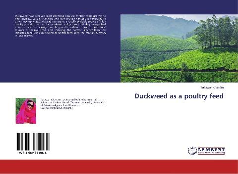 Duckweed as a poultry feed