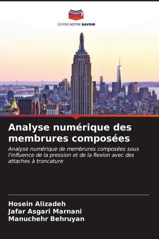 Analyse numérique des membrures composées