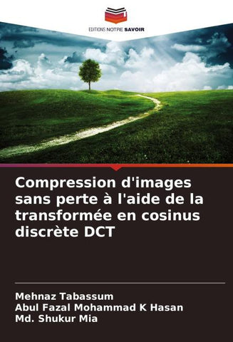 Compression d'images sans perte à l'aide de la transformée en cosinus discrète DCT