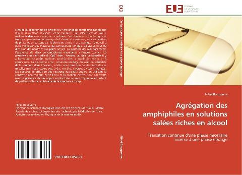 Agrégation des amphiphiles en solutions salées riches en alcool
