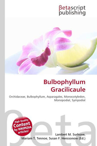 Bulbophyllum Gracilicaule